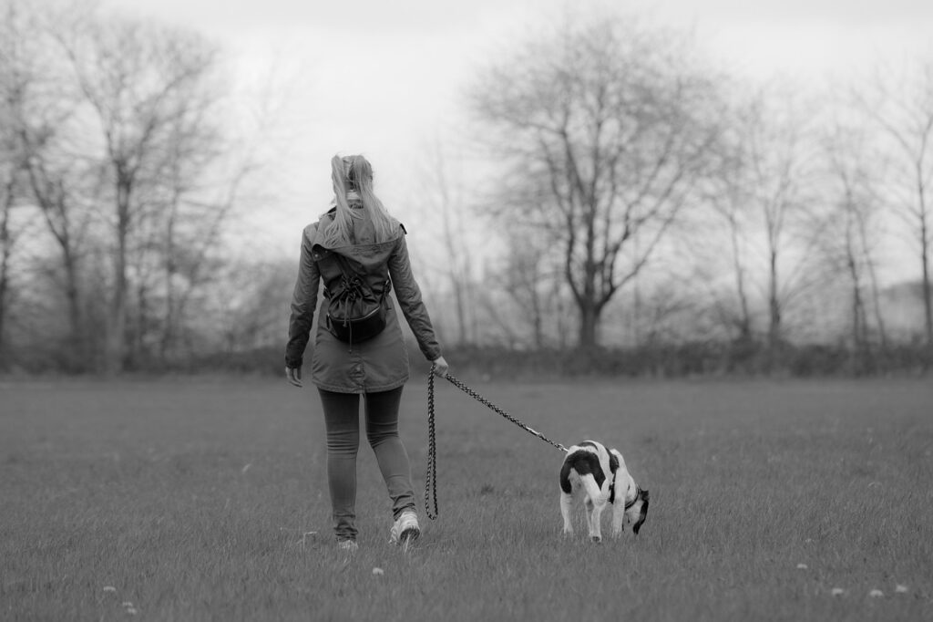 Wat Is De Beste Hondenriem?
