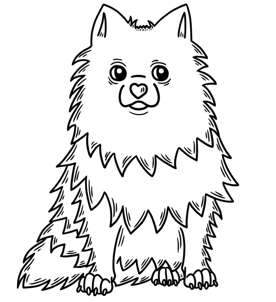 Waar Kan Ik Een Overzicht Van Hondenrassen Vinden?