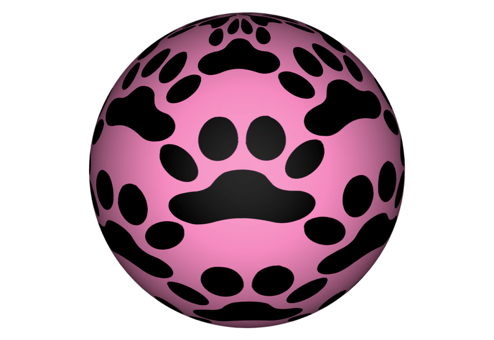 Wat Is Het Beste Hondenspeelgoed?