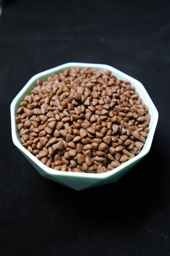 Welk Hondenvoer Is Het Beste?