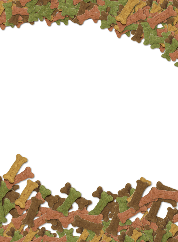 Welk Hondenvoer Is Het Beste?